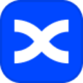 BingXus Logo
